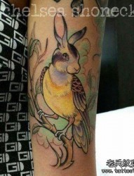 手臂夸张的彩色兔子鸟纹身图案