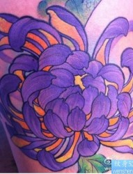 手臂传统菊花纹身图案