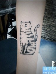 一款手臂猫咪纹身图案