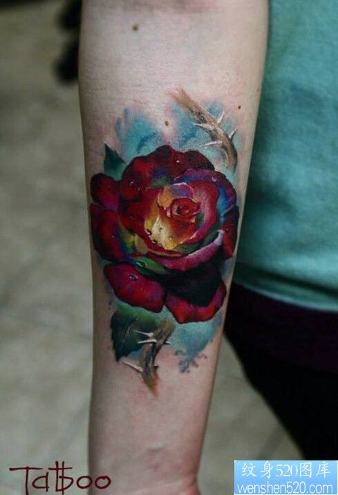 点击大图看下一张：一款手臂彩色玫瑰花纹身图案