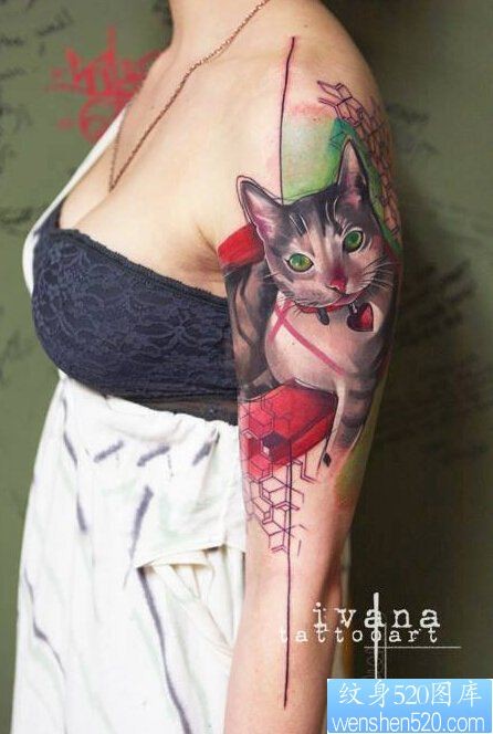 点击大图看下一张：一款女性手臂彩色猫纹身图案