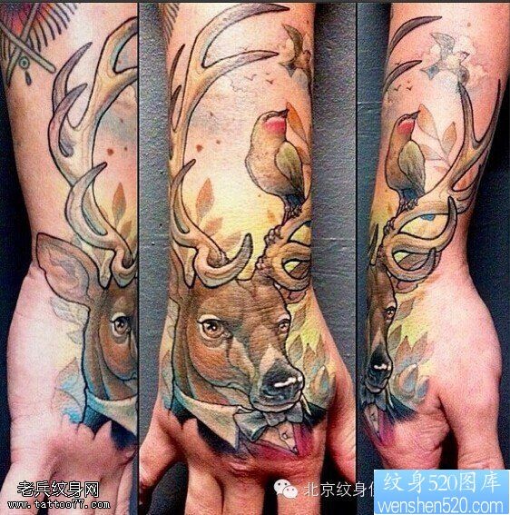 点击大图看下一张：一款手部彩色彩色羚羊纹身图案