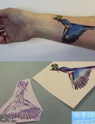 手臂彩色蜂鸟纹身图案