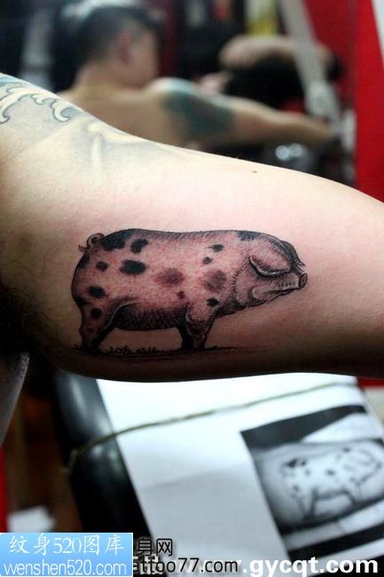 点击大图看下一张：一款另类的手臂猪纹身图案