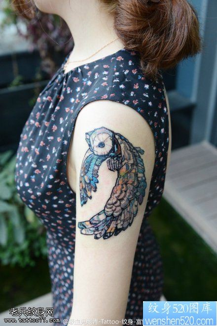 点击大图看下一张：女性手臂彩色猫头鹰纹身图案