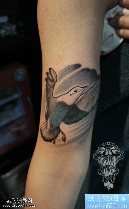 点击大图看下一张：纹身520图库提供眼睛手臂鸽子纹身图案