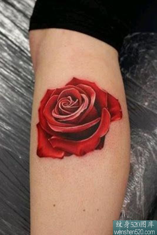 点击大图看下一张：手臂上的玫瑰之真爱誓言纹身图3