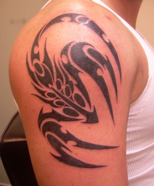点击大图看下一张：手臂上帅气的蝎子图腾纹身图3