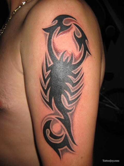 点击大图看下一张：手臂上帅气的蝎子图腾纹身图4