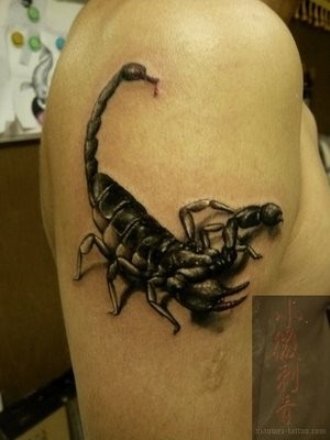 点击大图看下一张：纹身艺术爱好者喜欢的蝎子纹身