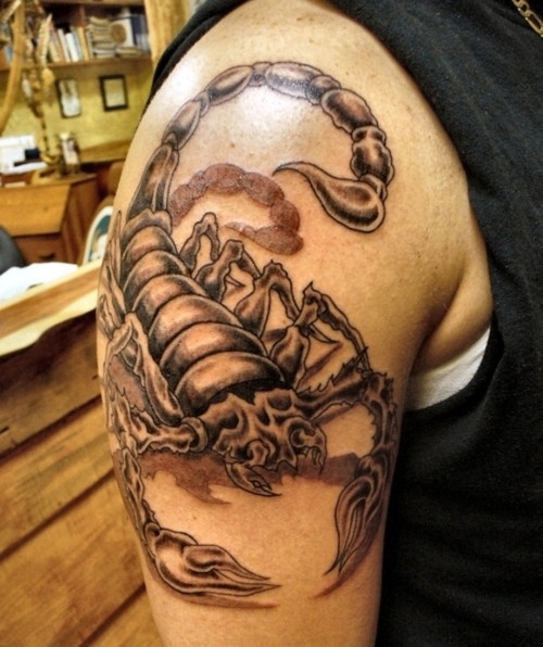 点击大图看下一张：纹身艺术爱好者喜欢的蝎子纹身图3