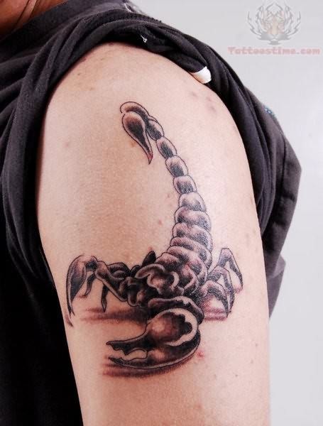 点击大图看下一张：纹身艺术爱好者喜欢的蝎子纹身图4