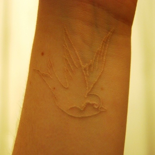 点击大图看下一张：手臂漂亮的小清新鸽子血纹身图4