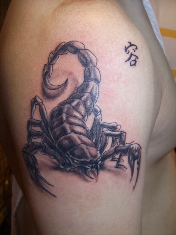 点击大图看下一张：大臂上时尚的蝎子纹身