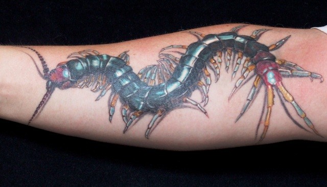 点击大图看下一张：手臂上一条长长的蜈蚣纹身图2