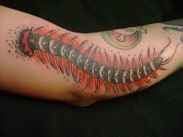 点击大图看下一张：手臂上一条长长的蜈蚣纹身图4