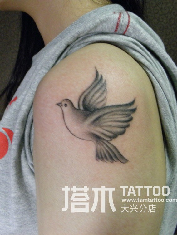 点击大图看下一张：手臂上漂亮的小鸽子纹身