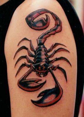 点击大图看下一张：时尚帅气的蝎子纹身图3