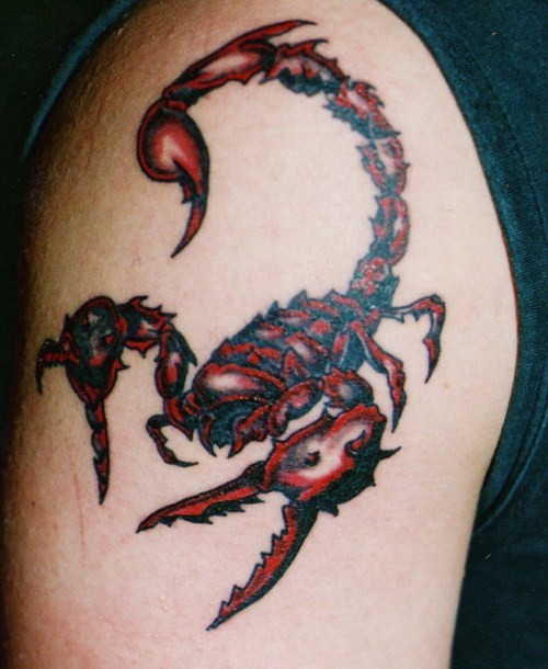 点击大图看下一张：时尚帅气的蝎子纹身图5