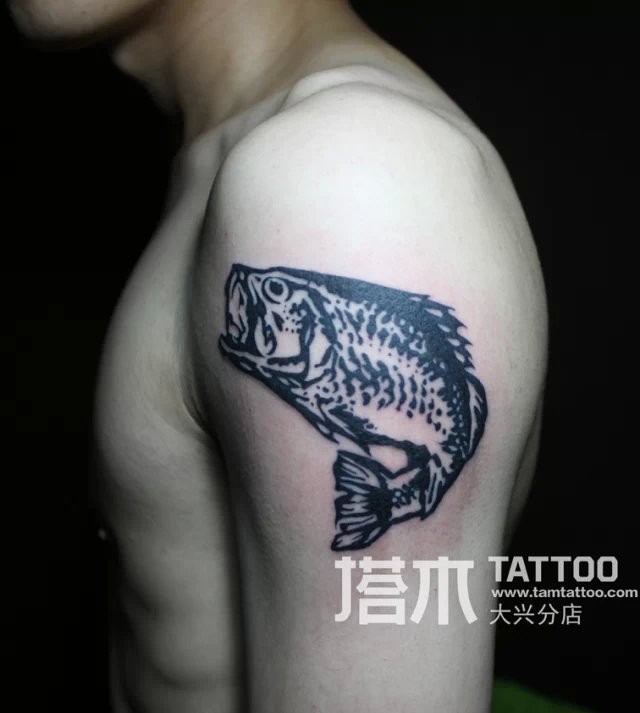 点击大图看下一张：手臂鲈鱼图腾纹身