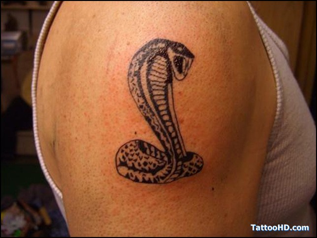 点击大图看下一张：手臂上非常帅气的蛇纹身图3