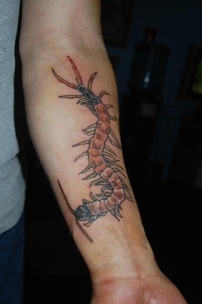 点击大图看下一张：手臂上一款个性的蜈蚣纹身