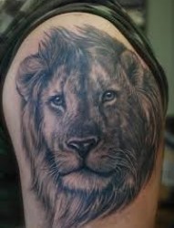 那些让人喜爱的狮子纹身
