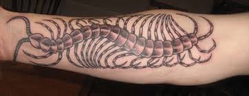 点击大图看下一张：手臂上一款个性的蜈蚣纹身图3