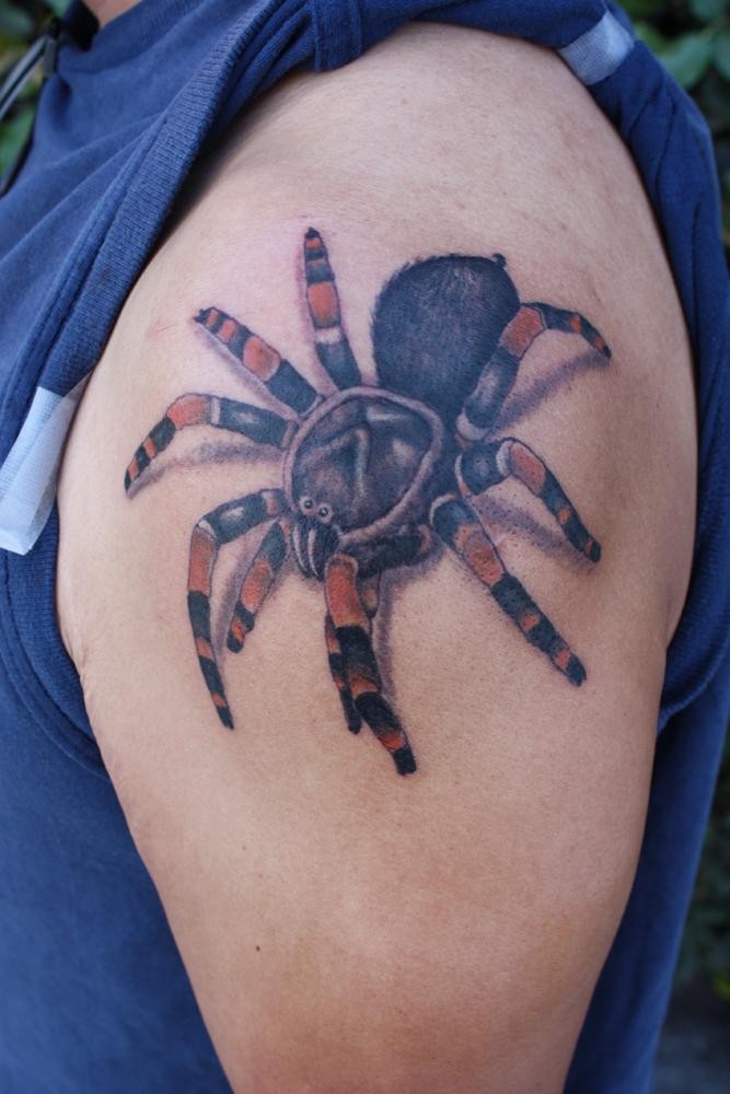 点击大图看下一张：大臂上的蜘蛛纹身