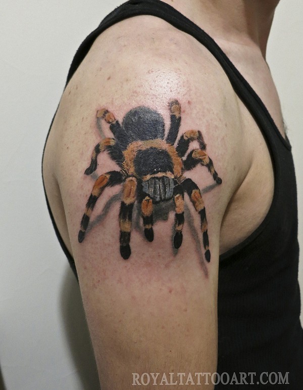 点击大图看下一张：大臂上的蜘蛛纹身图2