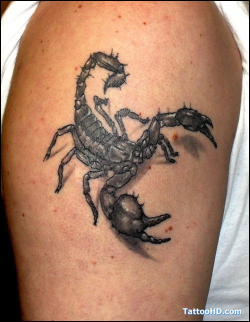 点击大图看下一张：个性十足的手臂蝎子纹身图2