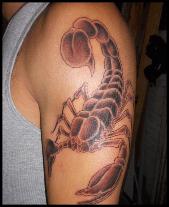 点击大图看下一张：手臂上一只帅气的蝎子纹身图2