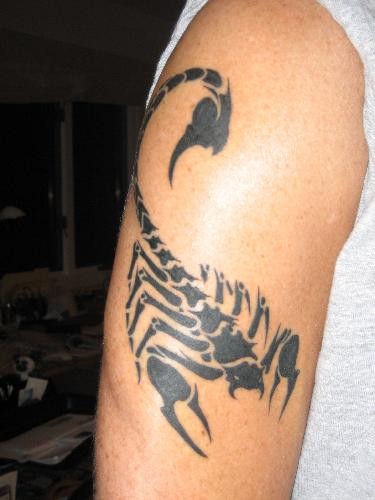 点击大图看下一张：简单好看的蝎子图腾纹身图2