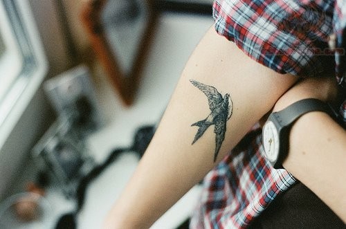 点击大图看下一张：手臂上一只个性的燕子纹身图3