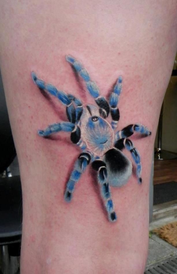 点击大图看下一张：一款毛茸茸的蜘蛛纹身图2