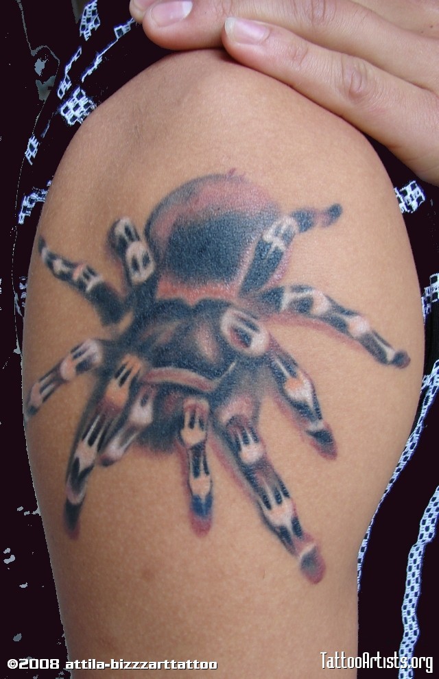 点击大图看下一张：一款毛茸茸的蜘蛛纹身图3