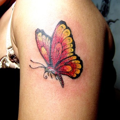 点击大图看下一张：手臂漂亮好看的蝴蝶纹身图3