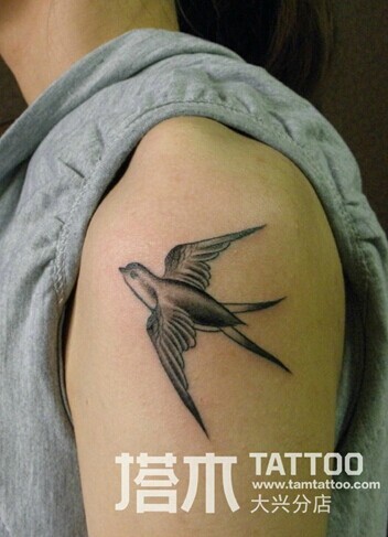 点击大图看下一张：女孩手臂小燕子纹身