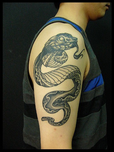 点击大图看下一张：大臂上十分抢眼的蛇纹身
