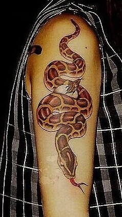 点击大图看下一张：大臂上十分抢眼的蛇纹身图4