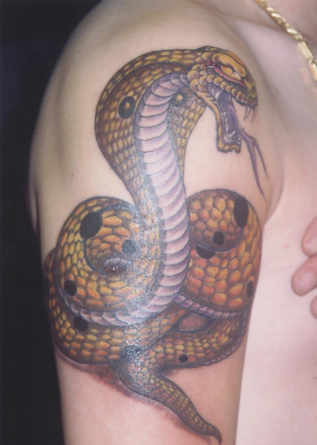 点击大图看下一张：大臂上帅气的蛇纹身