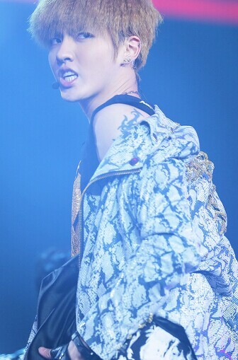 点击大图看下一张：exo队员吴亦凡手臂蝎子图腾刺青图12