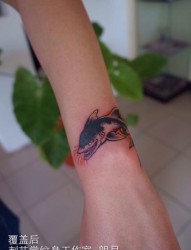 个性的鲨鱼手臂纹身