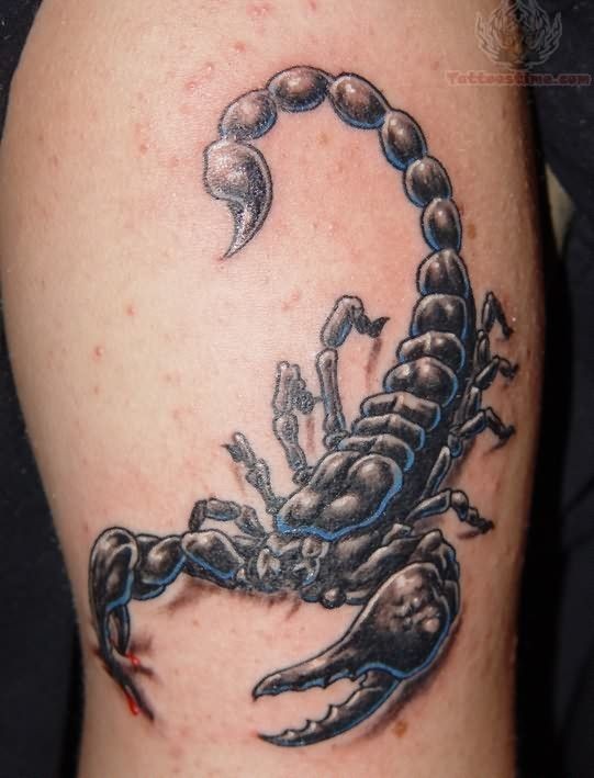 点击大图看下一张：男士手臂霸气的蝎子纹身图案图3
