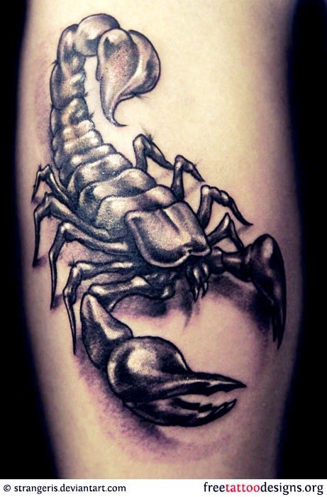 点击大图看下一张：男士手臂霸气的蝎子纹身图案图4