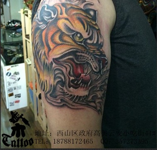 点击大图看下一张：手臂上的老虎经典纹身