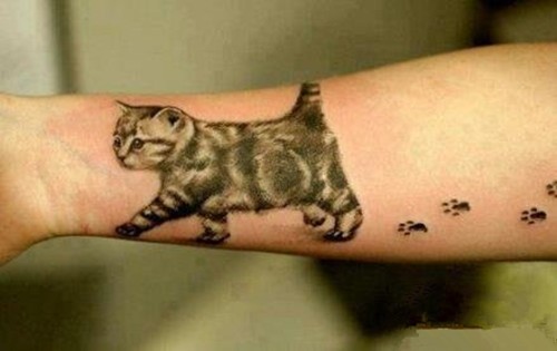 点击大图看下一张：一组可爱的小猫咪纹身图6