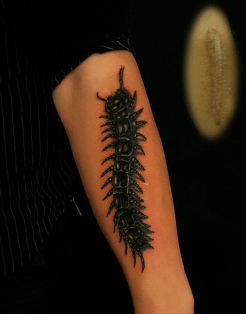 点击大图看下一张：惊悚酷炫的蜈蚣纹身