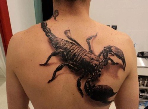 点击大图看下一张：霸气逼真的蝎子纹身图3