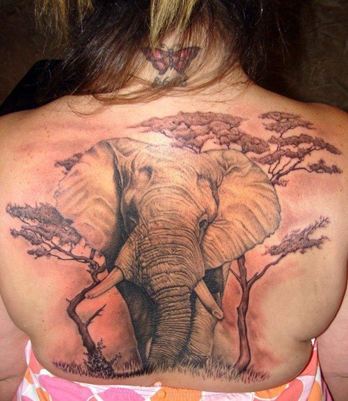 点击大图看下一张：经典大象图案纹身